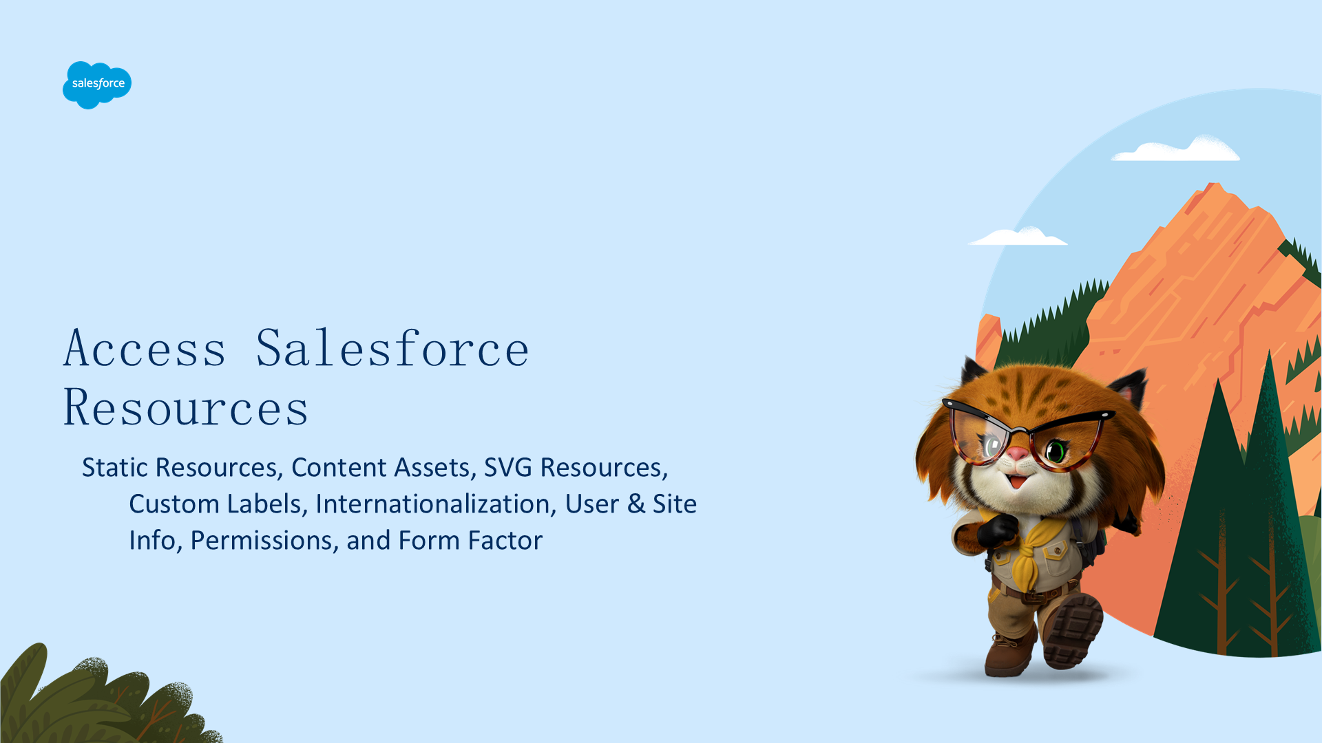 访问 Salesforce 资源