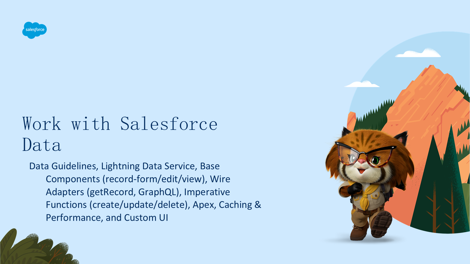 Work with Salesforce Data