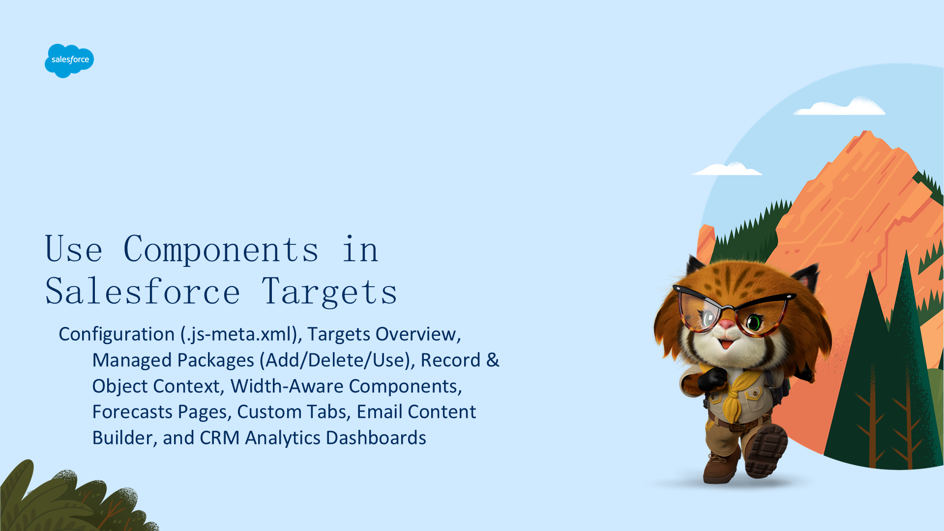 Use Components in Salesforce Targets