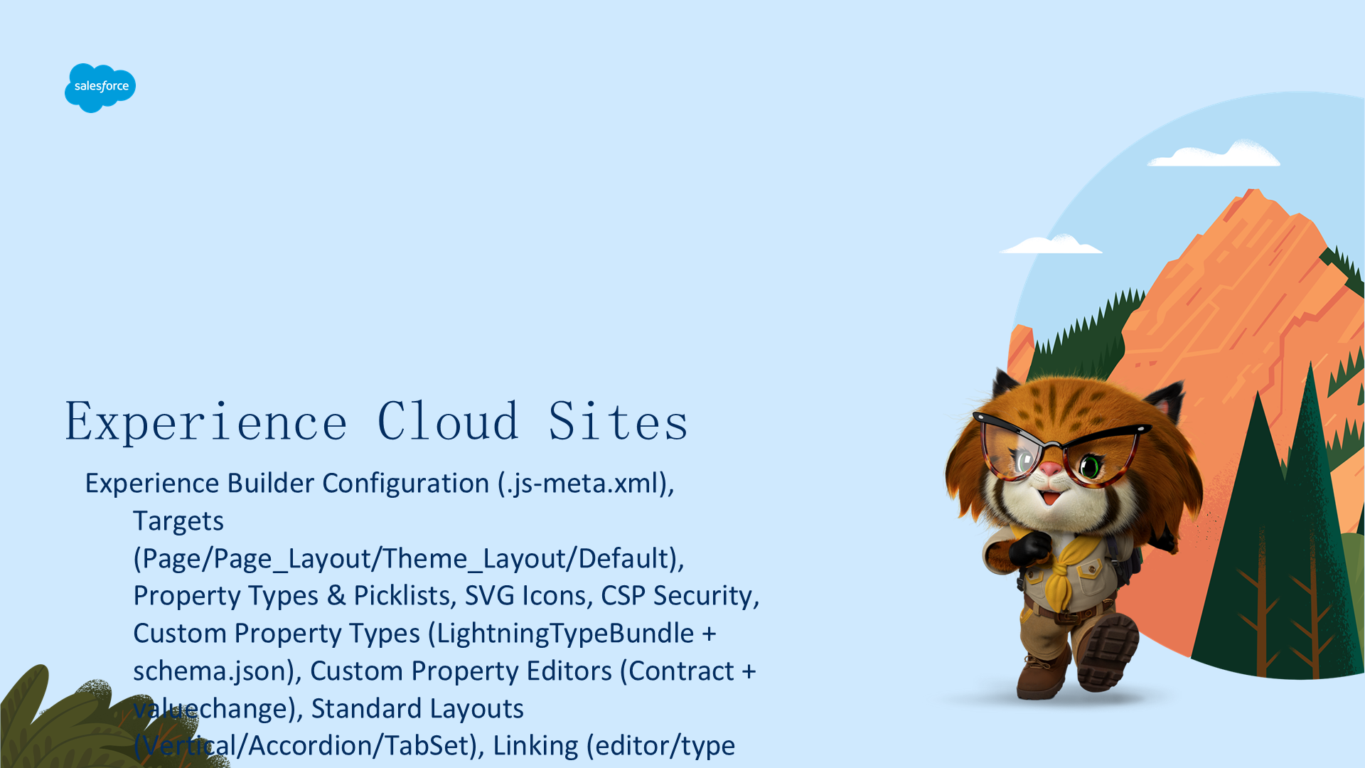 Experience Cloud Sites