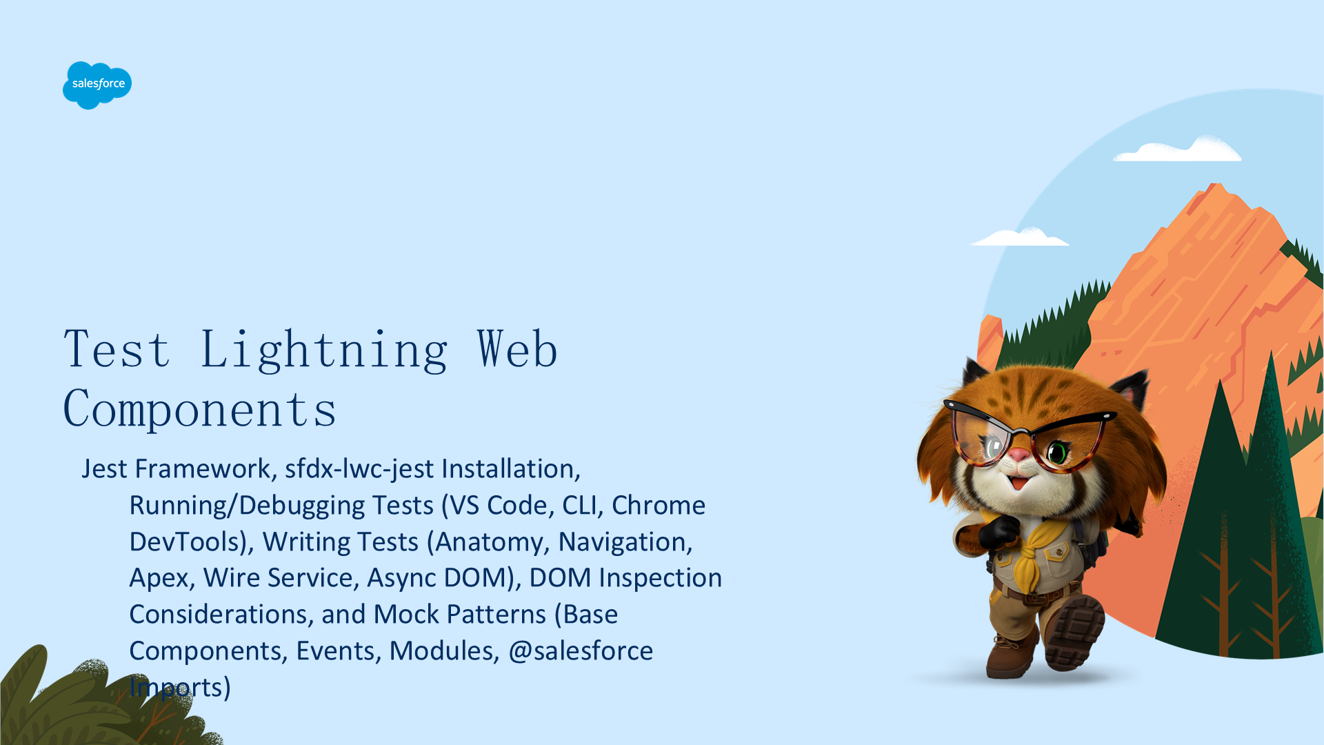 Test Lightning Web Components