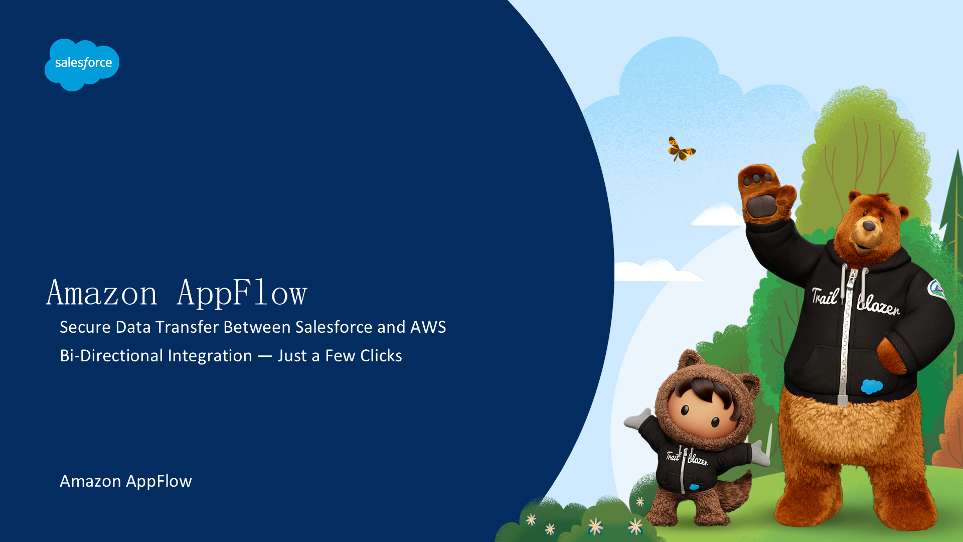 Amazon AppFlow：Salesforce 与 AWS 的安全双向数据流