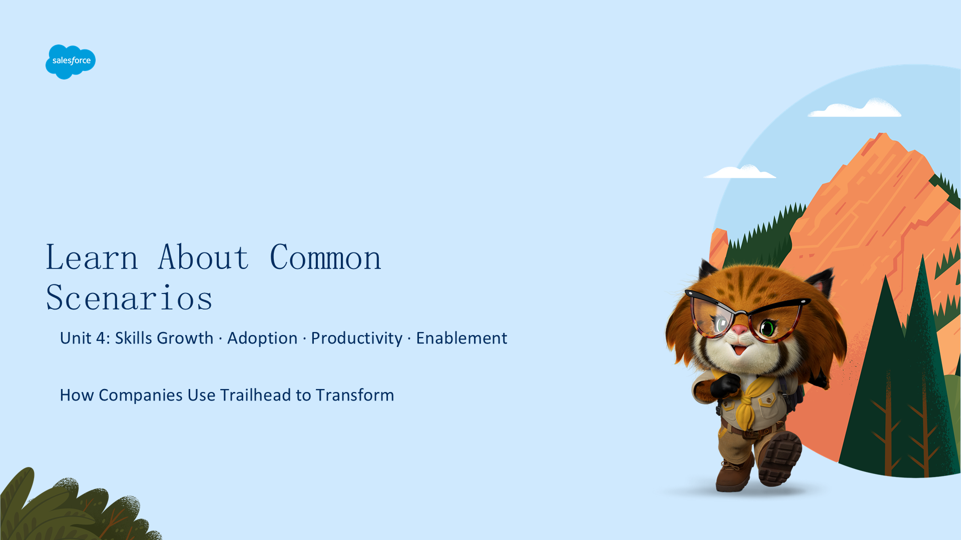 slide_19