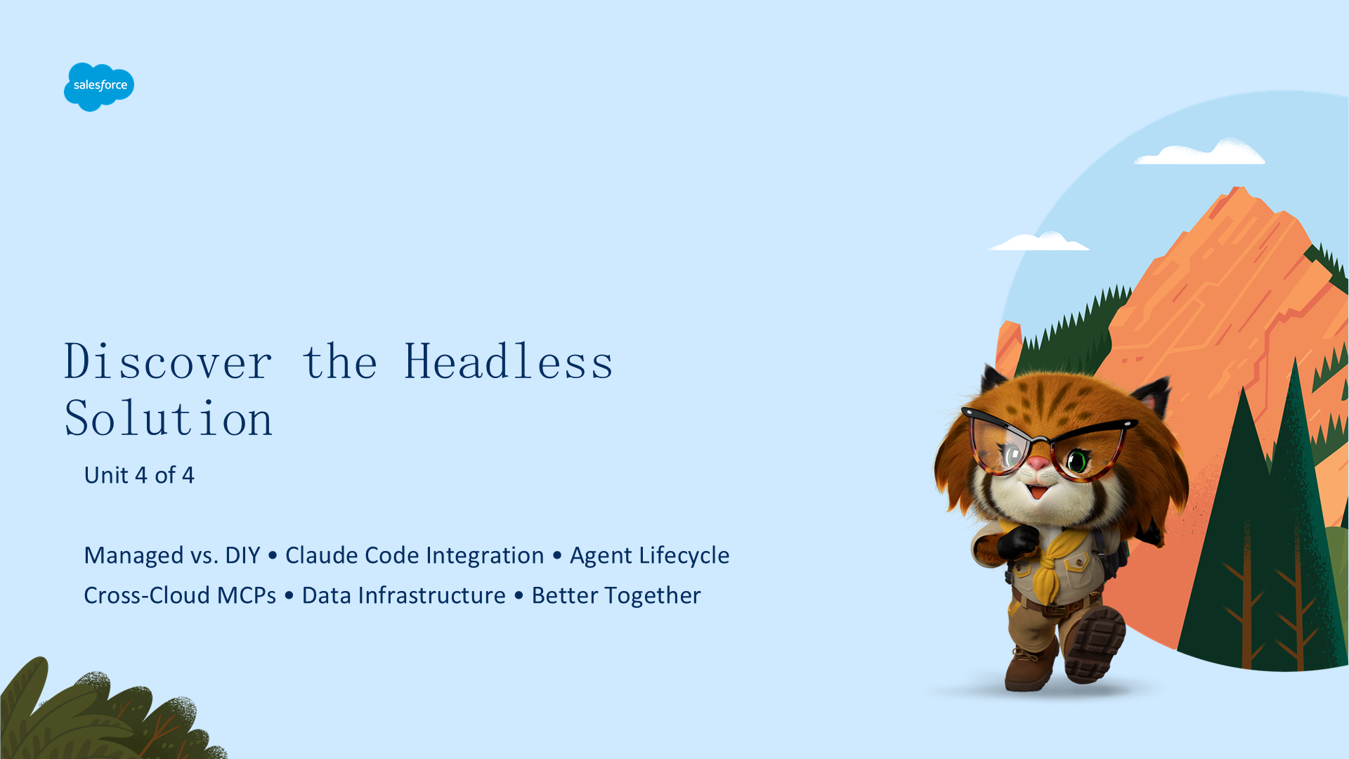 slide_11