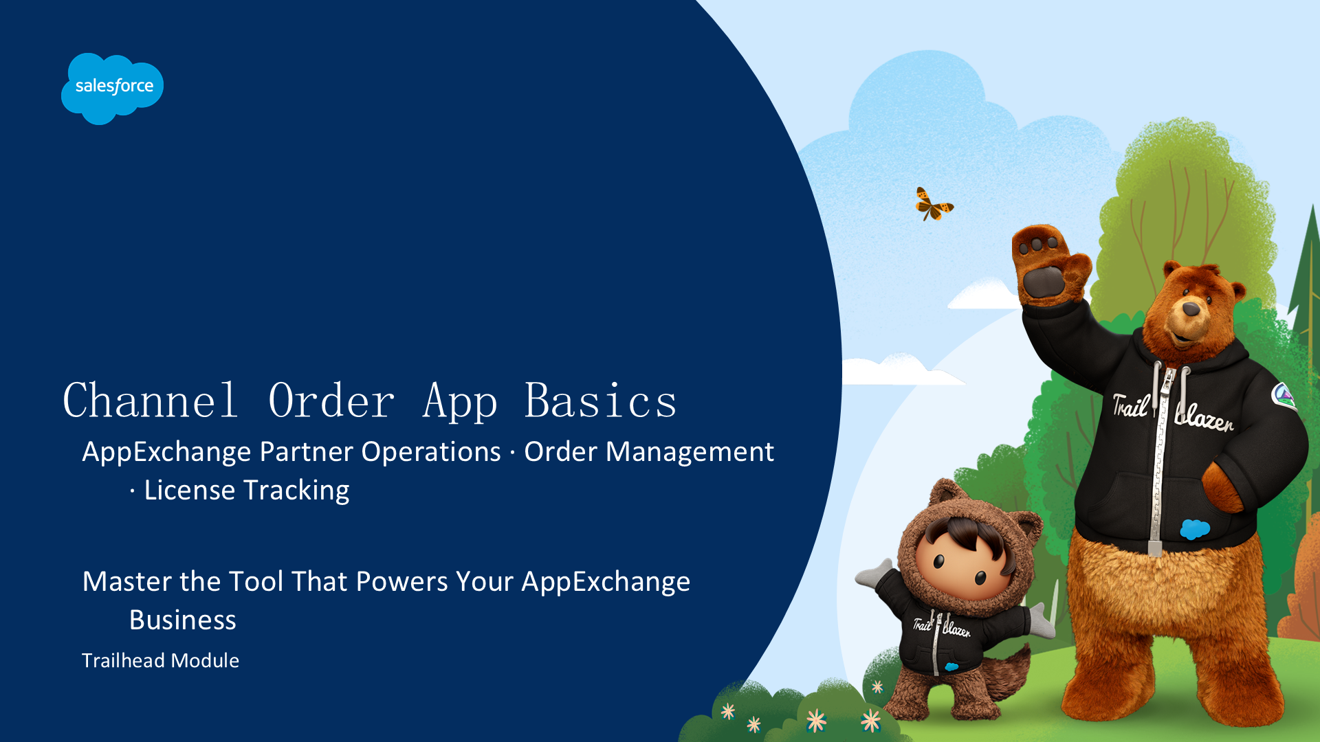 Channel Order App 基础:AppExchange 合作伙伴的订单管理