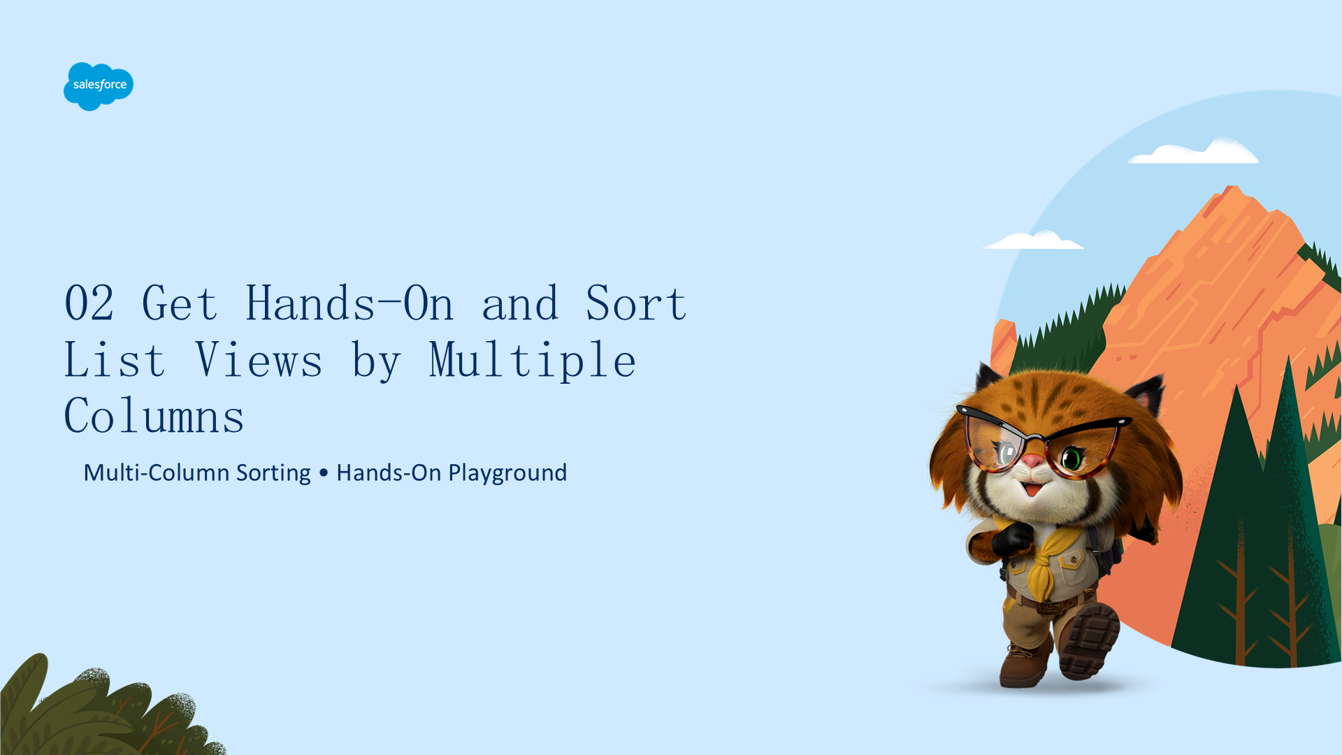 slide_11