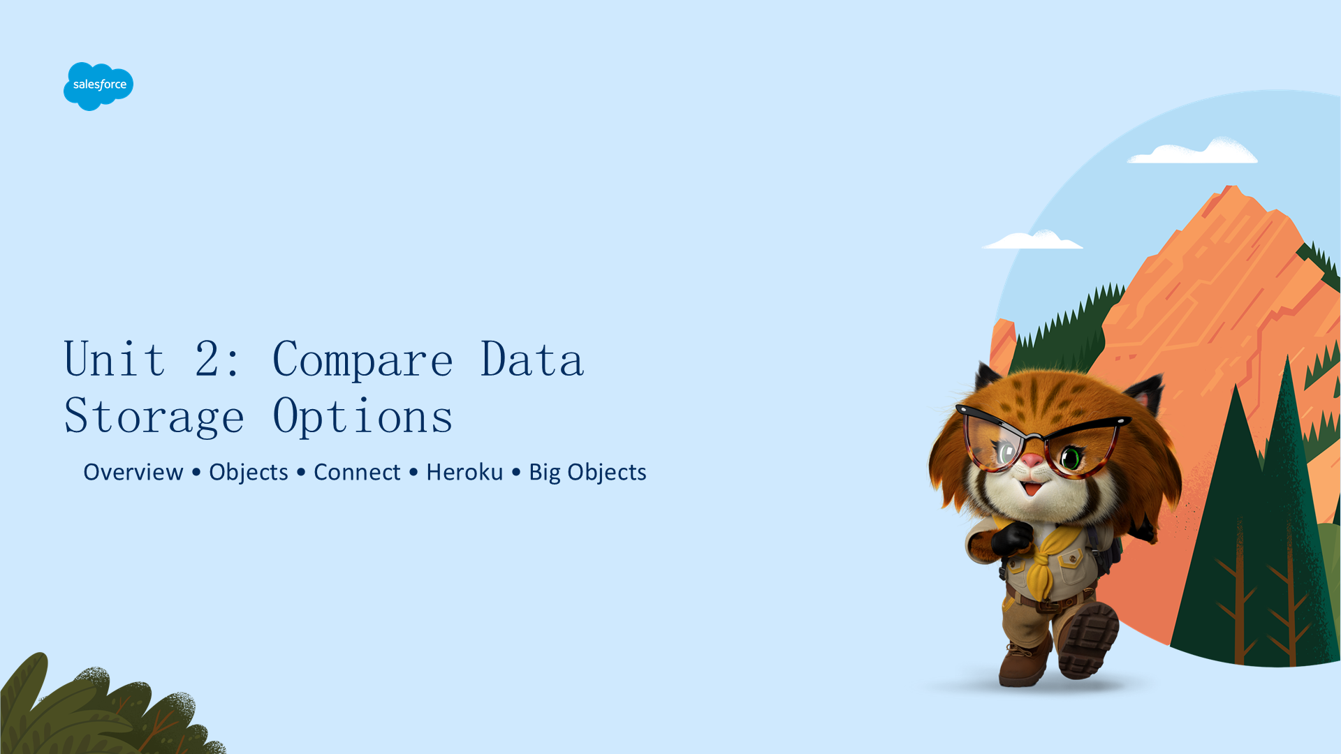 slide_11