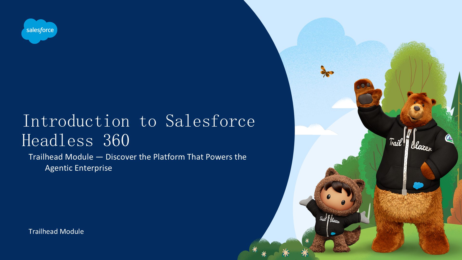 Salesforce Headless 360 入门指南