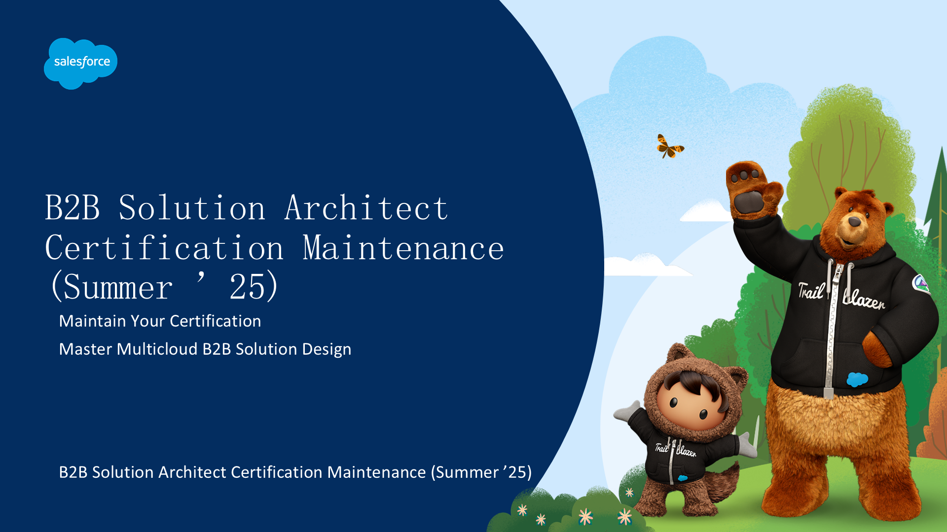 B2B Solution Architect 认证维护（Summer '25）