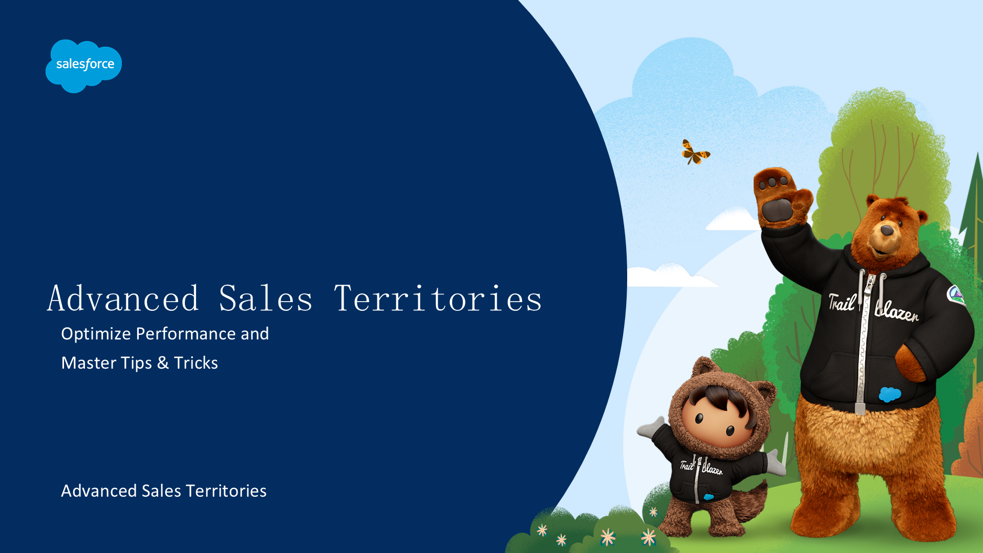 高级销售区域（Advanced Sales Territories）